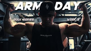 ARMS DAY FULL WORKOUT  BULK SERIES WEEK 3 [upl. by Scharff107]