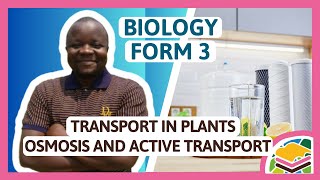 Transport in plants  Osmosis and active transport F3 Biology [upl. by Avlis489]