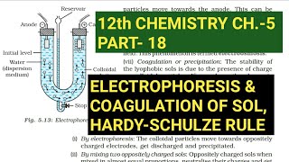 12th Chemistry Ch5Part18Electrophoresis amp Coagulation of solHardySchulze ruleStudy with Farru [upl. by Artinak910]