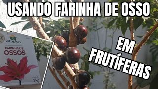 USANDO FARINHA DE OSSO EM FRUTIFERA [upl. by Bourgeois]