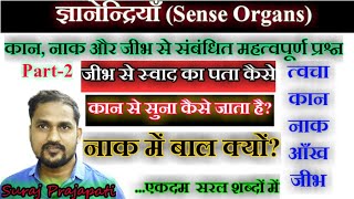 ज्ञानेंद्रियां  Sense Organs in Hindi  Skin Ear Nose Eye TongueSense Organ kya hote haiARSH GS [upl. by Cadal]