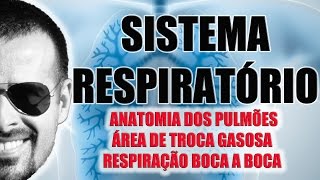 Sistema Respiratório  Anatomia dos Pulmões e RCP  Fisiologia  VideoAula 027 [upl. by Aneeg]