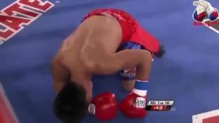 ►WATCH NONITO DONAIRE VS JESSIE MAGDALENO BRUTAL KNOCKOUTS COMBO [upl. by Ahgem]