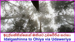 ඉදල්ගස්හින්නේ සිට ඔහියට උඩවේරිය හරහා  Idalgashinna to Ohiya via Udaweriya 2021 [upl. by Clinton967]