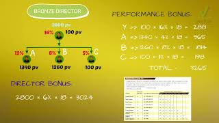 INCOME CALCULATION VESTIGE🏔️  BRONZE DIRECTOR WITH TEAM BUILDING BONUS 🍹 [upl. by Adnaloy]