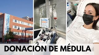 DONACIÓN de MÉDULA por aféresis Mi experiencia [upl. by Spiro]