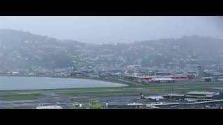 231117 Lyall Bay Wellington Airport Brooklyn wind turbine Lyall Bay Surf Cam Live [upl. by Minor]