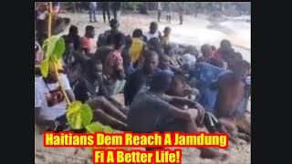 37 Haitians Seeking better Life in Jamaica Is it the right move [upl. by Penthea]