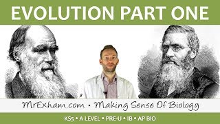 Evolution  Natural selection niches and types of selection  Post 16 Biology A Level PreU IB [upl. by Otreblig]