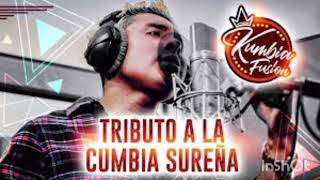 Mix Kumbia Fusion  tributo a la Cumbia Sureña MeyiFlow [upl. by Nel]