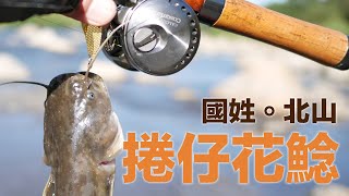 國姓。北山 捲仔花鯰  乾峰橋 1P 斗山吊橋 2P 路亞 國姓 何氏棘魞 捲仔 花鯰 ArtzuFishing [upl. by Alegnaoj]