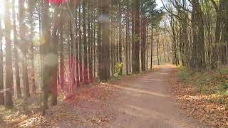 Ein paar Sonnenstrahlen von meiner heutigen Wanderung für Dich [upl. by Earised]