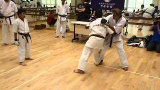 Ashihara Karate MultipleOpponent Sabaki [upl. by Anaerb765]