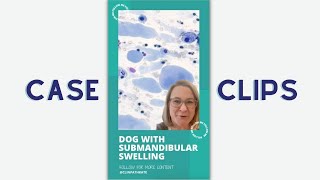 Cytology Case Clips Dog with Weird Submandibular Swelling [upl. by Aehs]