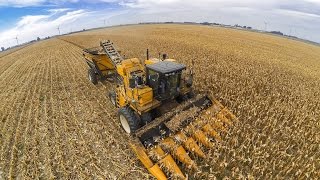 Early Morning Seed Corn harvest14 [upl. by Piderit343]