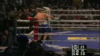 Lucian Bute vs Librado Andrade 2008 [upl. by Nader]