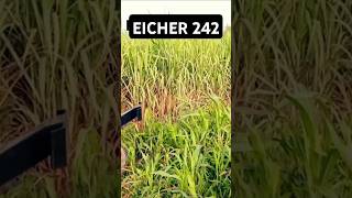 EICHER 242FULLY MODIFIED [upl. by Pooley690]