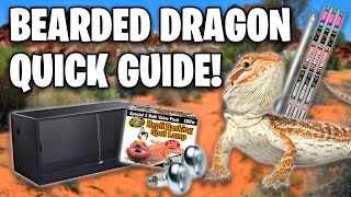 Bearded Dragon Care Guide  Beginners Guide [upl. by Homovec]