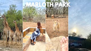 TRAVEL VLOG Weekend getaway  Safari staycation  Marloth park Mpumalanga [upl. by Ruenhs]