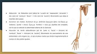 Terminología Asociada a Huesos y Articulaciones del Miembro Superior [upl. by Jamal]