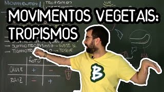 Movimentos Vegetais Tropismos  Fisio Vegetal  Aula 30 Botânica Prof Guilherme [upl. by Aikat]