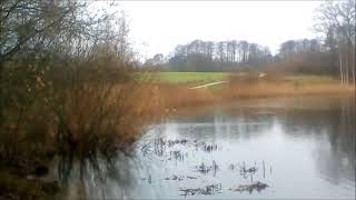 Testwood Lakes Totton Southampton  Winter 2017 [upl. by Edgar173]