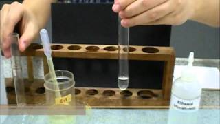 Ethanol emulsion test for fats [upl. by Nnaaihtnyc]