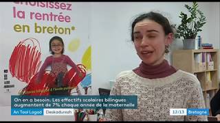 18 députés bretons réclament plus de postes denseignants bilingues [upl. by Lefton]