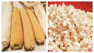 How I Eat Popcorn vs How He Eats Popcorn [upl. by Imac]