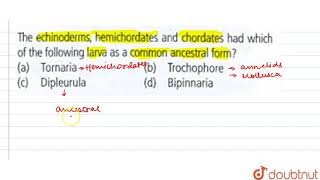 The echinoderms hemichordates and chordates had which of the following larve as a [upl. by Googins]