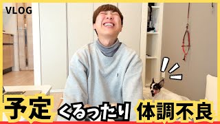 ソファー搬入のはずが。。┊︎ものもらい┊︎ミニマリスト┊︎ジャックラッセルテリア多頭飼い┊︎第459話 [upl. by Yrtnej769]