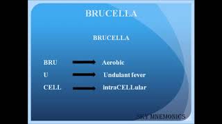 BRUCELLA features  Bacteriology Microbiology  SKY MEDICAL MNEMONICS [upl. by Erodaeht107]