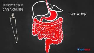 Capsimax Capsicum Extract for Weight Management [upl. by Aisek]