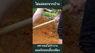 จากการถูกทิ้งสู่การฟื้นฟู [upl. by Sairu]