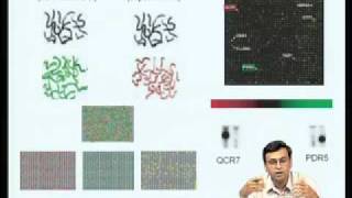 Mod10 Lec39 Genomics amp Proteomics [upl. by Larine]