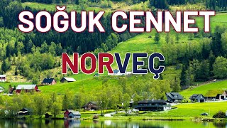 Harika Doğasıyla İşte NORVEÇ  Norveç Belgeseli ve Yaşam Rehberi [upl. by Samohtnhoj]