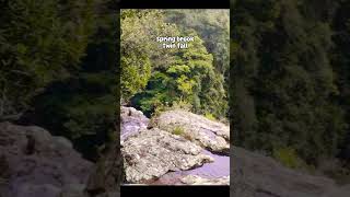 Springbrook Twin Falls love dj waterfall travel goldcoast brisbane australia hillstation [upl. by Dhaf977]