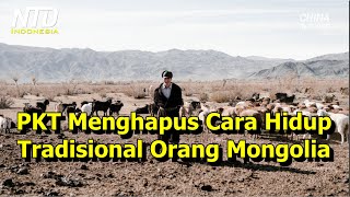 PKT Juga Berupaya Menghapus Cara Hidup Tradisional OrangOrang Mongol [upl. by Henriques]