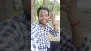 Gutur Gutur song  Lotan kabutar re ☺️ viral trending shorts shortsfeed youtubeshorts song [upl. by Lemmie]