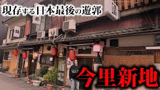 【日本最後の桃源郷】今も唯一残る今里新地の遊廓に行って食べ歩きしました。 [upl. by Nahtannoj724]