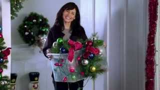 PetSmart commercial  2011 Holiday Campaign quotHoliday Lightsquot [upl. by Tannie]