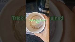 Dont Throw Out Stained Mugs frugalliving cleaningtips [upl. by Lussi518]