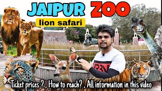 JAIPUR ZOO  नाहरगढ़ बायोलॉजिकल पार्क  NAHARGRAH BIOLOGICAL PARK  JAIPUR LION SAFARI  JAIPUR [upl. by Meeker]