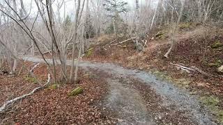 Hike beginning at Black Beach [upl. by Nwhas979]