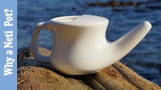 Neti Pot Why When and How Often [upl. by Rozanne162]