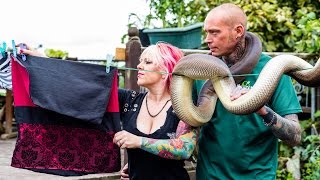 Reptile Lovers Live With 80 Snakes [upl. by Ihel]