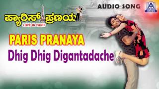 Paris Pranaya  quotDhig Dhig Diganthadachequot Audio Song  Raghu Mukherjee Minal  Akash Audio [upl. by Aryad540]