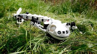 Realistic Salamander Robot Is Creepy But Useful [upl. by Susanne417]