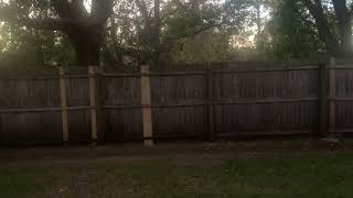 5233 Julington Forest Drive South Jacksonville FL 32258 [upl. by Mloc893]