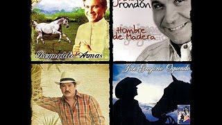 Llaneras mix grandes exitos [upl. by Jr534]